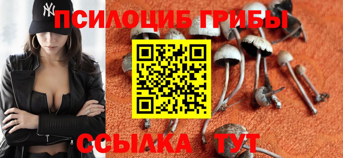 Иваново  Псилоцибиновые грибы Psilocybe  Вход с VPN 