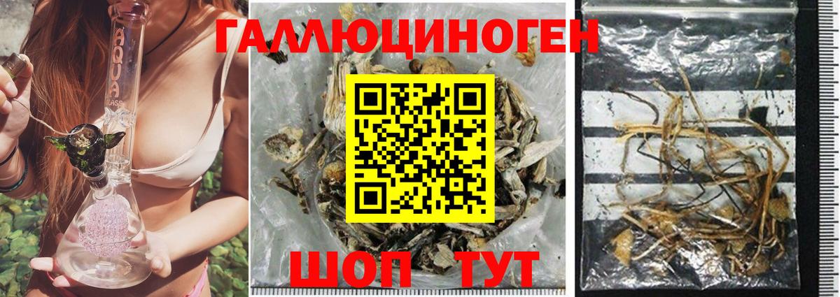 Псилоцибиновые грибы GOLDEN TEACHER Иваново